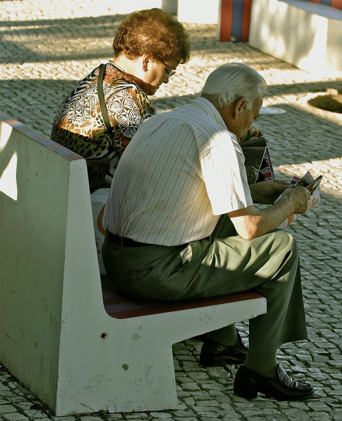 Elderly couple reading (6501035325)
